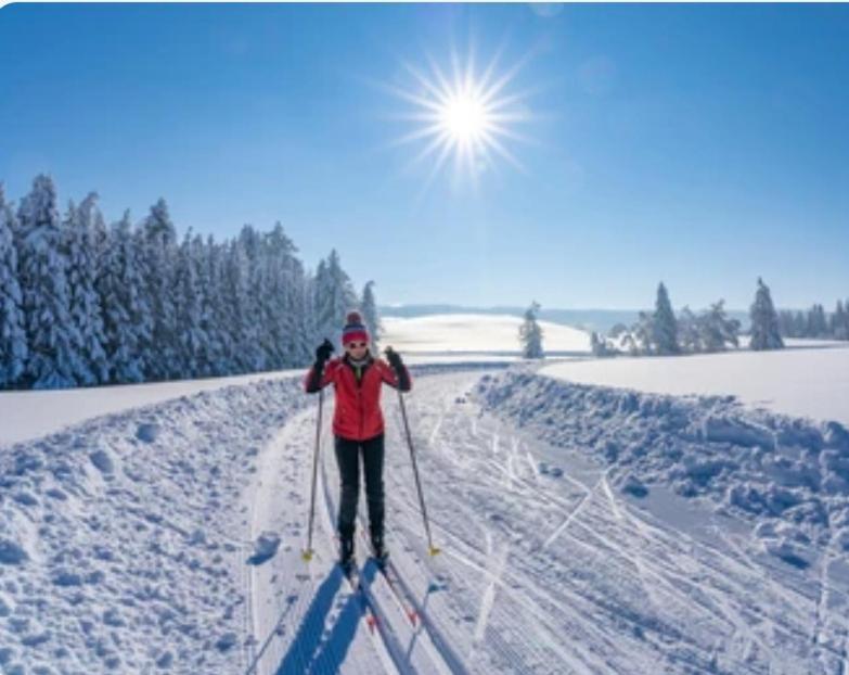 Ferienwohnung Weber Alpenglueck เลคบรูค ภายนอก รูปภาพ